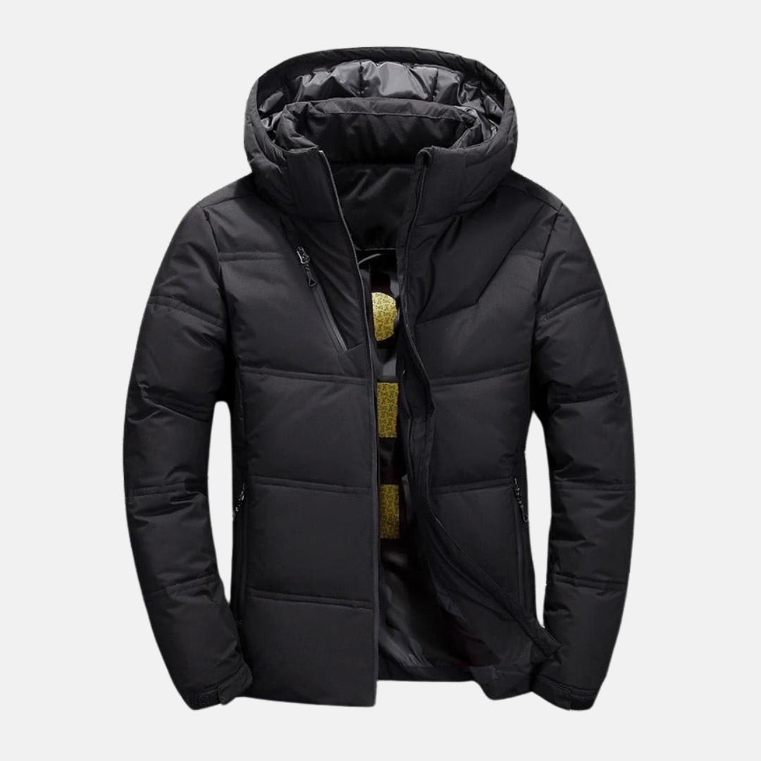 Men’s Down Jacket – Hooded – Quilted Warmth – Zip Front – Standard Fit – Hip Length