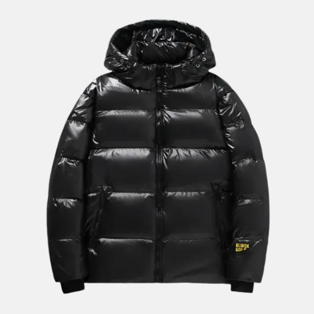 Men’s Down Jacket – Regular Fit – Hooded – Water-Resistant – Zip Closure – Quilted