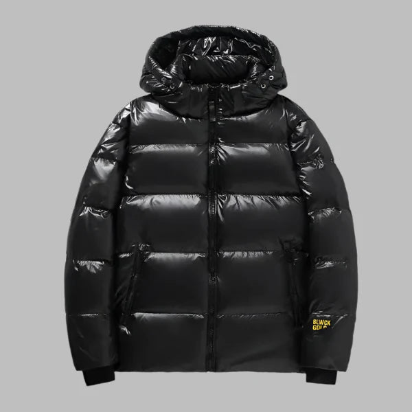 Men’s Down Jacket – Regular Fit – Hooded – Water-Resistant – Zip Closure – Quilted