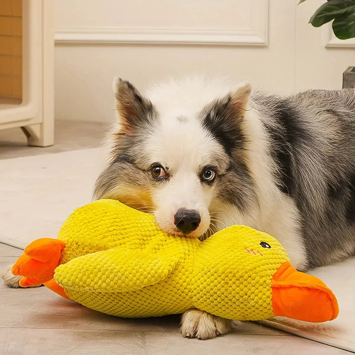 Chenille-Style Chunky Duck Plush Dog Toy