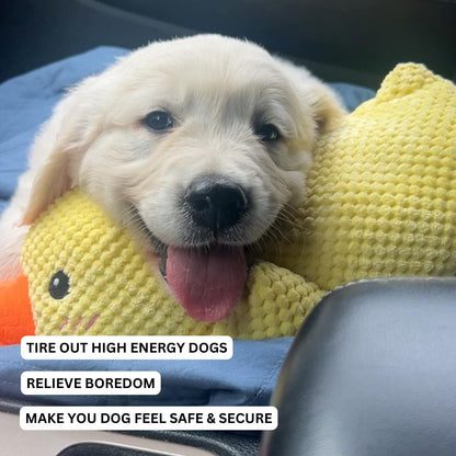 Chenille-Style Chunky Duck Plush Dog Toy